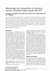 Research paper thumbnail of Morphology and composition of strontium calcium aluminate matrix doped with Dy 3