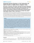 Research paper thumbnail of Organised Genome Dynamics in the Escherichia coli Species Results in Highly Diverse Adaptive Paths