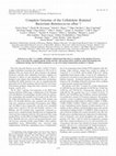 Research paper thumbnail of Complete genome of the cellulolytic ruminal bacterium Ruminococcus albus 7