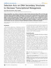 Research paper thumbnail of Selection Acts on DNA Secondary Structures to Decrease Transcriptional Mutagenesis