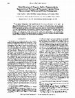 Research paper thumbnail of Identification of organic sulfur compounds in supercritical extracts of Beypazari lignite using deconvoluted differential pulse polarograms