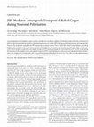 Research paper thumbnail of Cellular/Molecular JIP1 Mediates Anterograde Transport of Rab10 Cargos during Neuronal Polarization