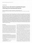 Research paper thumbnail of Nuclear Factor  B Controls Acetylcholine Receptor Clustering at the Neuromuscular Junction