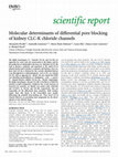 Research paper thumbnail of Molecular determinants of differential pore blocking of kidney CLC-K chloride channels