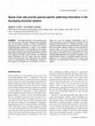 Research paper thumbnail of Neural crest cells provide species-specific patterning information in the developing branchial skeleton