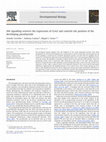 Research paper thumbnail of Shh signalling restricts the expression of Gcm2 and controls the position of the developing parathyroids