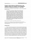 Research paper thumbnail of Dynamic Young's Modulus, Morphological, and Thermal Stability of 5 Tropical Light Hardwoods Modified by Benzene Diazonium …