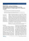 Research paper thumbnail of Bioinformatics Analysis of Xyloglucan Endotransglycosylase/Hydrolase (XTH) Gene from Developing Xylem of a Tropical Timber Tree Neolamarckia Cadamba