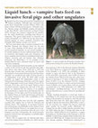 Research paper thumbnail of Liquid lunch – vampire bats feed on invasive feral pigs and other ungulates