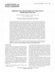 Research paper thumbnail of Identification of Key Odorants Related to the Typical Aroma of Oxidation-Spoiled White Wines