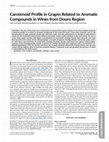 Research paper thumbnail of Carotenoid Profile in Grapes Related to Aromatic Compounds in Wines from Douro Region