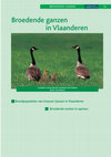 Research paper thumbnail of Verspreiding en populatieontwikkeling van broedende Grauwe Ganzen, Anser anser in Vlaanderen