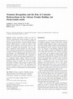 Research paper thumbnail of Nestmate Recognition and the Role of Cuticular Hydrocarbons in the African Termite Raiding Ant Pachycondyla analis