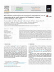 Research paper thumbnail of Microclimatic monitoring for the investigation of the different state of conservation of the stucco statues of the Longobard Temple in Cividale del Friuli (Udine, Italy