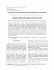 Research paper thumbnail of Expression of E-Cadherin in Malignant Epithelial Neoplasms of the Urinary Bladder