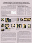 Research paper thumbnail of Multiple post-cranial lesions on adult skeletal remains from a Byzantine grave in Attica; osteological connections and differential paleopathological diagnosis. 16th Paleopathological Association European Meeting, 28th August – 1st September 2006, Santorini, Greece.