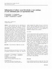 Research paper thumbnail of Inflammation of solitary caecal diverticula: a rare aetiology of acute abdominal pain: an experimental study