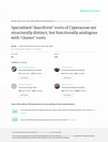 Research paper thumbnail of Specialized 'dauciform' roots of Cyperaceae are structurally distinct, but functionally analogous with 'cluster' roots