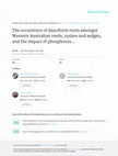 Research paper thumbnail of The occurrence of dauciform roots amongst Western Australian reeds, rushes and sedges, and the impact of phosphorus supply on dauciform-root development in Schoenus unispiculatus (Cyperaceae)