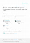 Research paper thumbnail of Systems Analyses Reveal Two Chaperone Networks with Distinct Functions in Eukaryotic Cells