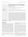 Research paper thumbnail of Differential expression of the polysialyl capsule during blood-to-brain transit of neuropathogenic Escherichia coli K1