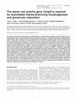 Research paper thumbnail of The planar cell polarity gene Vangl2 is required for mammalian kidney-branching morphogenesis and glomerular maturation