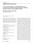 Research paper thumbnail of Late Cretaceous porphyry Cu and epithermal Cu–Au association in the Southern Panagyurishte District, Bulgaria: the paired Vlaykov Vruh and Elshitsa deposits