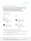 Research paper thumbnail of Biological fabrication of photoluminescent nanocomb structures by metabolic incorporation of germanium into the biosilica of the diatom Nitzschia frustulum