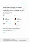 Research paper thumbnail of Molecular and Physiological Analysis of Drought Stress In Arabidopsis Reveals Early Responses Leading to Acclimation In Plant Growth