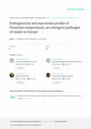 Research paper thumbnail of Pathogenicity and mycotoxin profile of Fusarium temperatum, an emergent pathogen of maize in Europe