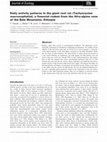 Research paper thumbnail of Daily activity patterns in the giant root rat (Tachyoryctes macrocephalus), a fossorial rodent from the Afro-alpine zone of the Bale Mountains, Ethiopia