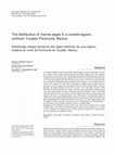 Research paper thumbnail of The distribution of marine algae in a coastal lagoon, northern Yucatan Peninsula, Mexico