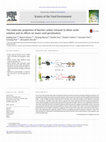 Research paper thumbnail of The molecular properties of biochar carbon released in dilute acidic solution and its effects on maize seed germination