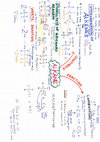 Research paper thumbnail of Organic Chemistry Notes