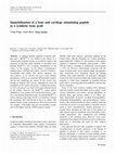 Research paper thumbnail of Immobilization of a bone and cartilage stimulating peptide to a synthetic bone graft