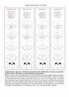 Research paper thumbnail of Rey 2013 Suppl fig6