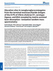 Research paper thumbnail of Glycation sites in neoglycoglycoconjugates from the terminal monosaccharide antigen of the O-PS of Vibrio cholerae O1, serotype Ogawa, and BSA revealed by matrix-assisted laser desorption-ionization tandem mass spectrometry