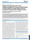 Research paper thumbnail of Mapping the glycation sites in the neoglycoconjugate from hexasaccharide antigen of Vibrio cholerae , serotype Ogawa and the recombinant tetanus toxin C-fragment carrier