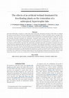 Research paper thumbnail of The effects of an artificial wetland dominated by free-floating plants on the restoration of a subtropical, hypertrophic lake