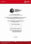 Research paper thumbnail of Tesis: La incidencia de la jurisprudencia constitucional en el ambito de las politicas publicas