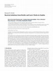 Research paper thumbnail of Bacteria Isolations from Broiler and Layer Chicks in Zambia