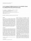 Research paper thumbnail of In vivo imaging of cellular structures in Caenorhabditis elegans by combined TPEF, SHG and THG microscopy