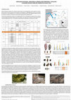 Research paper thumbnail of MOVILIDAD ESTACIONAL, SUBSISTENCIA, DEMARCACIÓN TERRITORIAL Y ESTILOS EN CAZADORES-RECOLECTORES DEL NO DE SANTA CRUZ (PATAGONIA ARGENTINA)