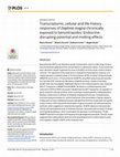 Research paper thumbnail of Transcriptomic, cellular and life-history responses of Daphnia magna chronically exposed to benzotriazoles: Endocrine- disrupting potential and molting effects