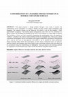 Research paper thumbnail of Conformation Of A Flexilbe Miura Pattern On A Double Curvature Surface