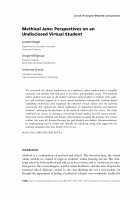 Research paper thumbnail of Methical Jane: Perspectives on an undisclosed virtual student