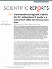 Research paper thumbnail of Transmembrane Segment XI of the Na+/H+ Antiporter of S. pombe is a Critical Part of the Ion Translocation Pore