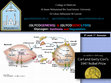 Research paper thumbnail of Updated: Glycogensis & Glycogenolysis and their Regulations