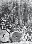 Research paper thumbnail of EL ARAUCANO INDOMABLE, O LA UTILIZACIÓN DEL INDIO MAPUCHE COMO METÁFORA DE LA LUCHA POR LA LIBERTAD