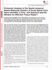 Research paper thumbnail of Proteomic Analysis of the Spatio-temporal Based Molecular Kinetics of Acute Spinal Cord Injury Identifies a Time-and Segment-specific Window for Effective Tissue Repair